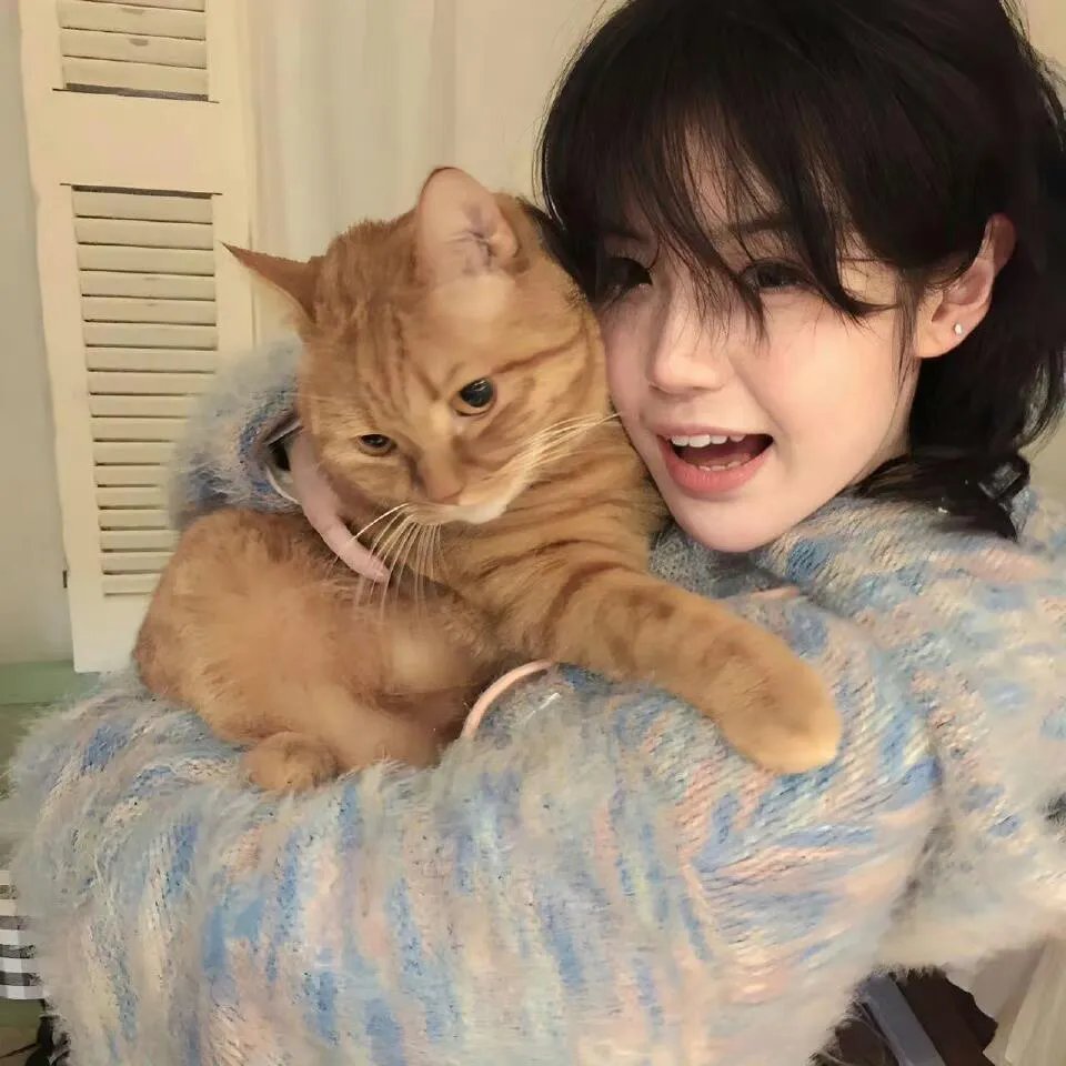 到了30岁还是处男，似乎会变成魔法师动画版