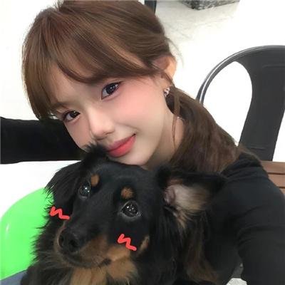 玫瑰奇缘恋与大明星